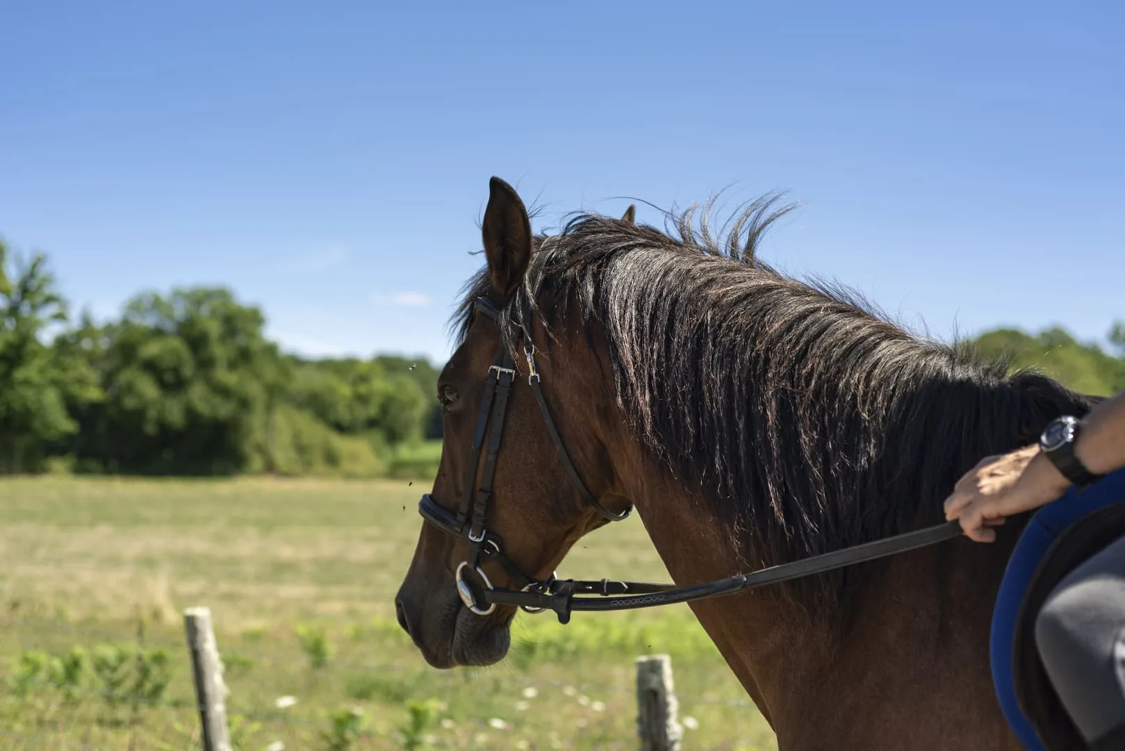 Balade à cheval & centres équestres