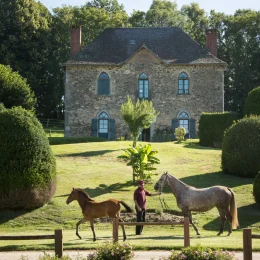 Visite de la Jumenterie du Haras National de Pompadour