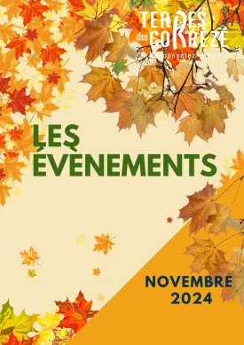 Manifestations de Novembre 2024